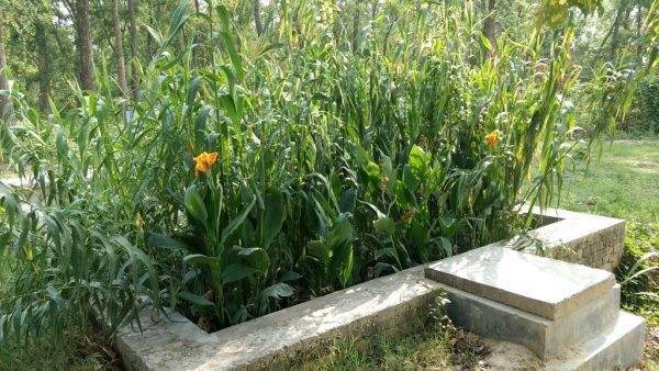 A concrete planter in a grassy field, and it is working as intended.