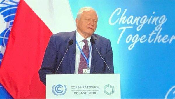 A man standing at a podium with the fate of humanity in his hands, in front of a flag.