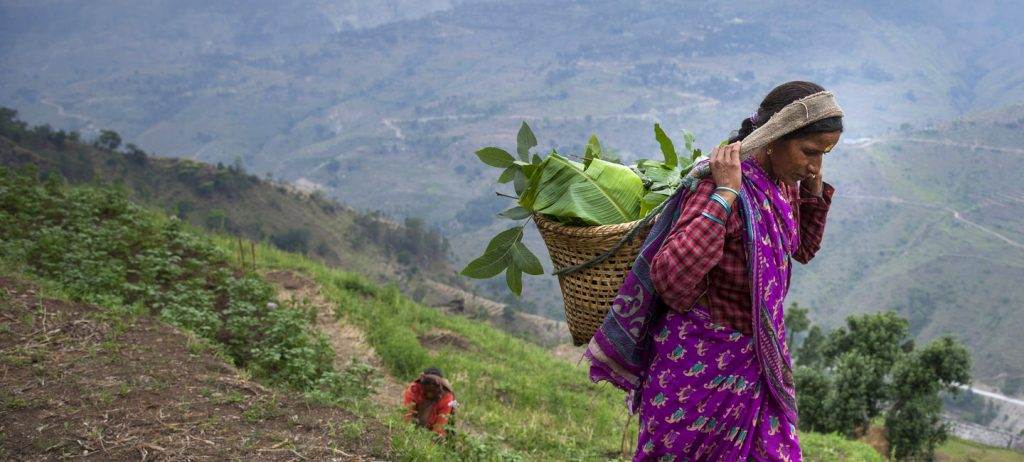 A woman carrying a basket of vegetables near a knowledge center.