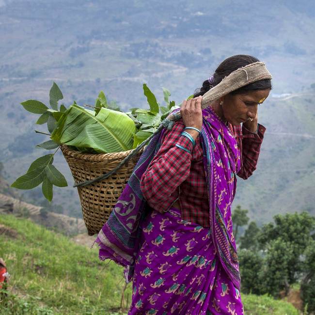 A woman gracefully transforms energy as she carries a basket of vegetables.