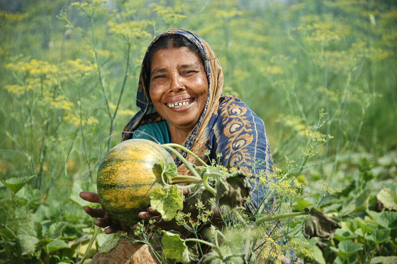 A woman holding a pumpkin in a field
