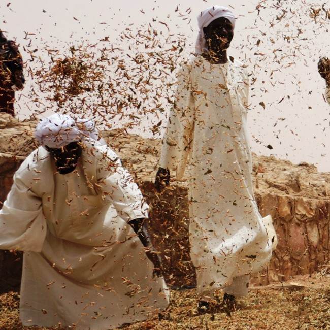 A group of men are causing environmental degradation by throwing a lot of dust in the air.