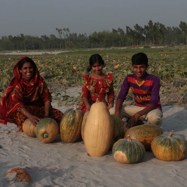 A group of people sitting on the sand with pumpkins to raise awareness against poverty.