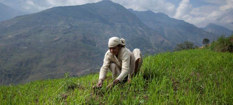 A man in a white hat connecting Nepalese farmers on a grassy hillside.