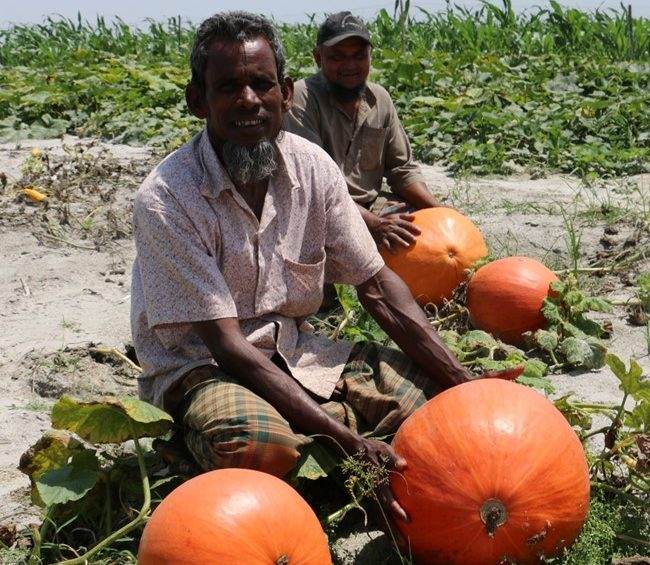 Two men harvesting pumpkins for poverty alleviation.