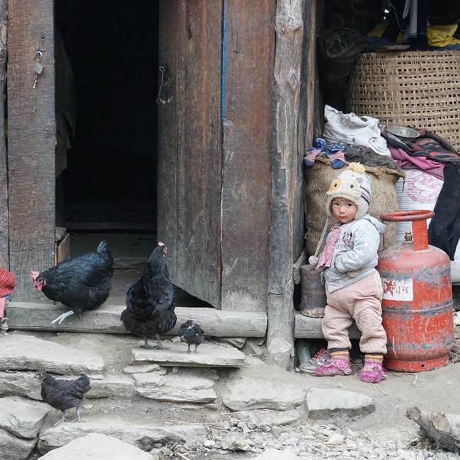 A child escaping a rubbish life in Nepal stands outside a shack with chickens.
