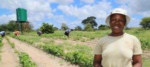 Farmer in Zimbabwe shows her crops which are flourishing thanks to solar-powered irrigation