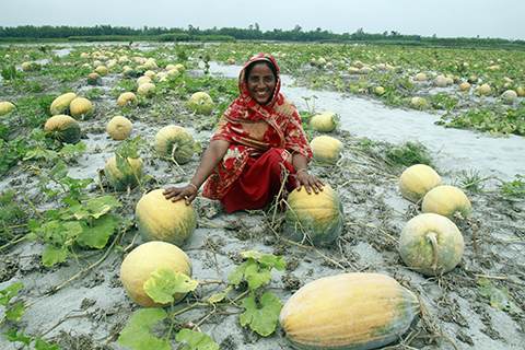 A woman amidst a sea of watermelons, adopting a humble stance.