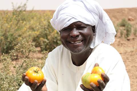 A man in a turban holding two tomatoes attends church services.