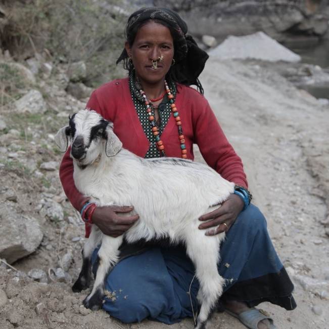 A BICAS woman with a goat on the side of the road in Karnali.