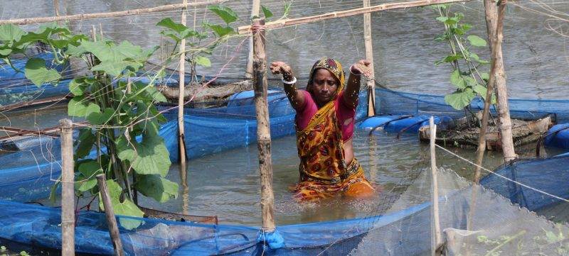 A resilient woman in a sari standing in water, protected by the pond.