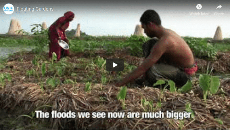 The floods we see have become significantly magnified, posing a floating garden challenge.