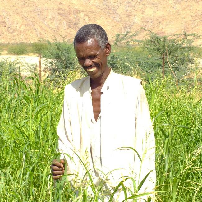 A man making water work in a field of tall grass.