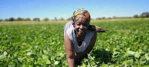 Renewable Energy Women Farmers-01