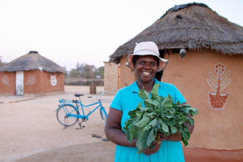 Development group warns against misinterpretation of UN climate report regarding greens.