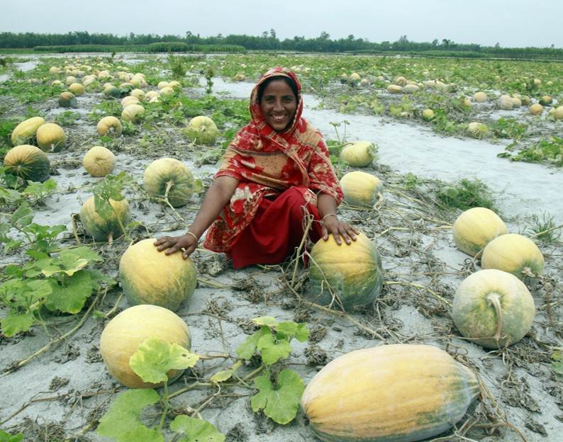 A woman achieving big results while kneeling in the middle of a field of melons.