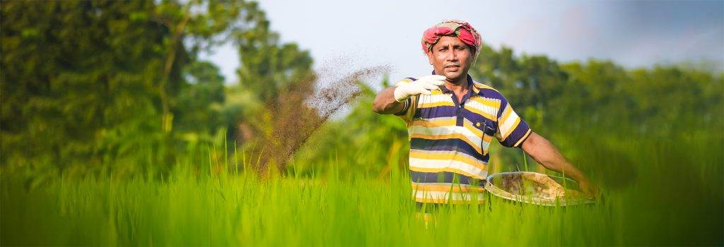 A man holding a basket in a green field.