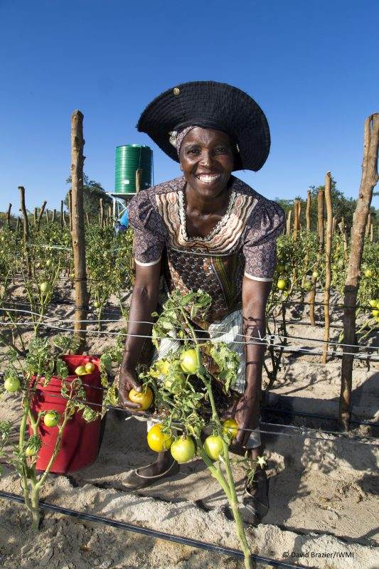 The woman is wearing a sustainable agriculture hat.