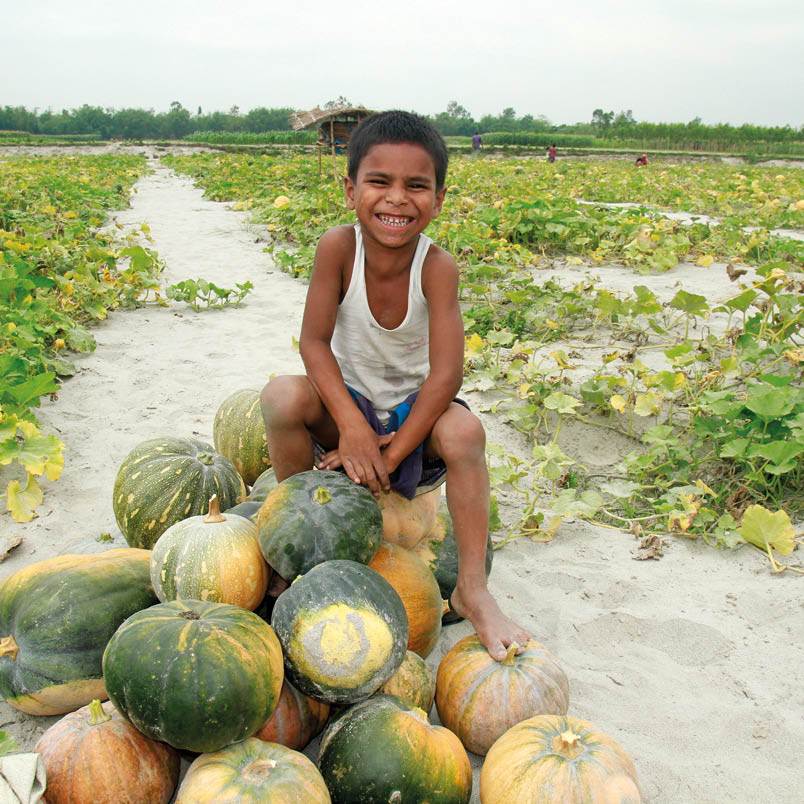 A young boy sitting on a pile of pumpkins in a field