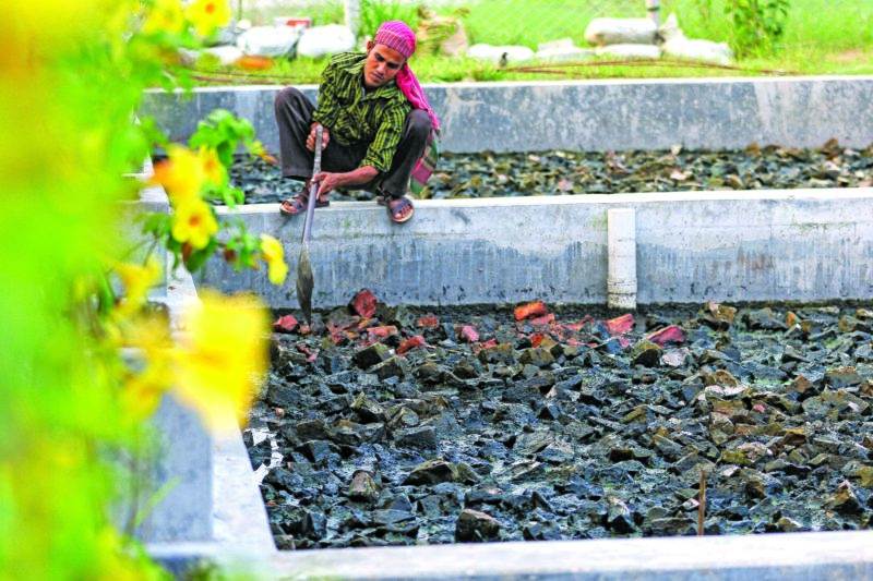 A woman working in a pond on World Toilet Day 2019, leaving no one behind.