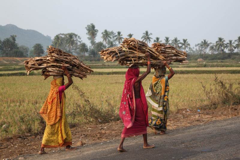 A group of women participating in the Poor People's Energy Outlook (PPEO) program transporting logs along a road.