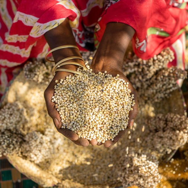A woman with technical knowledge is holding a bowl of seeds for food and agriculture purposes.
