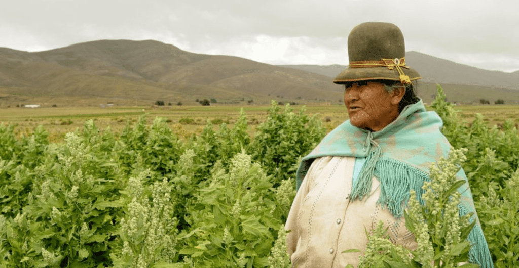 A woman in a hat standing in a field of plants, showcasing food and agriculture.