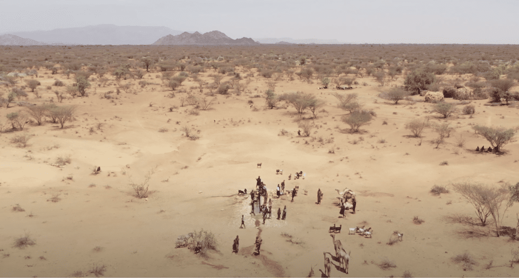 A resilient group of individuals standing in the middle of a desert.