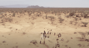 Arid farmland in Kenya caused by the climate crisis