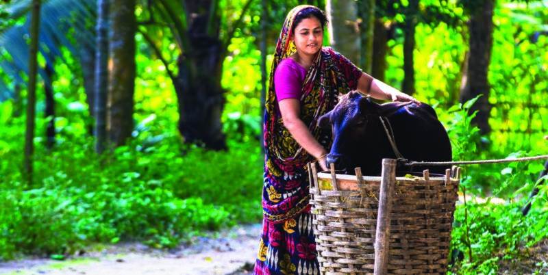 A woman carrying a basket with livestock.