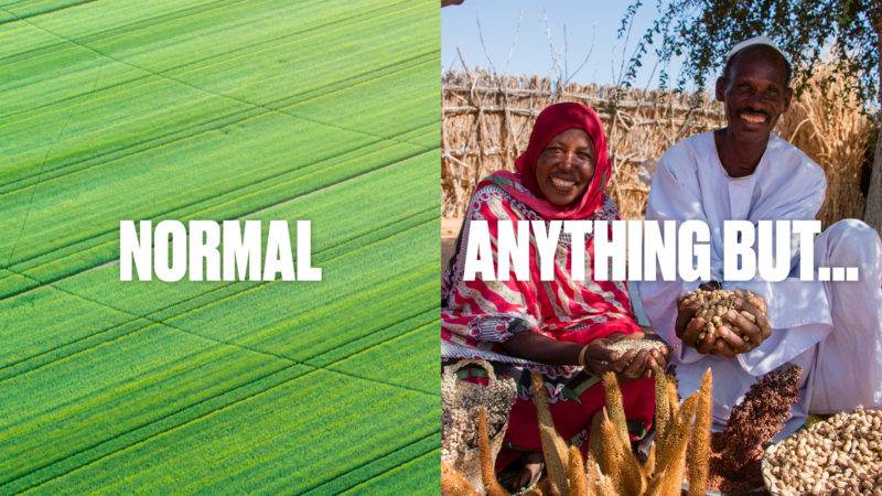 Two pictures of people in a field, showcasing an unexpected future of agriculture.