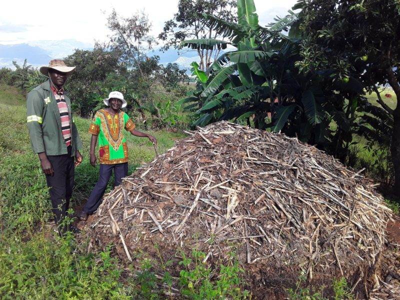 Two men pondering the unconventional farming methods near a pile of wood.