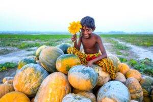 A young boy atop a pile of pumpkins.