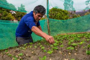 We’re working with smallholder farmers in Bolivia to help them deal with the pandemic and reduce its effect on their livelihood.  