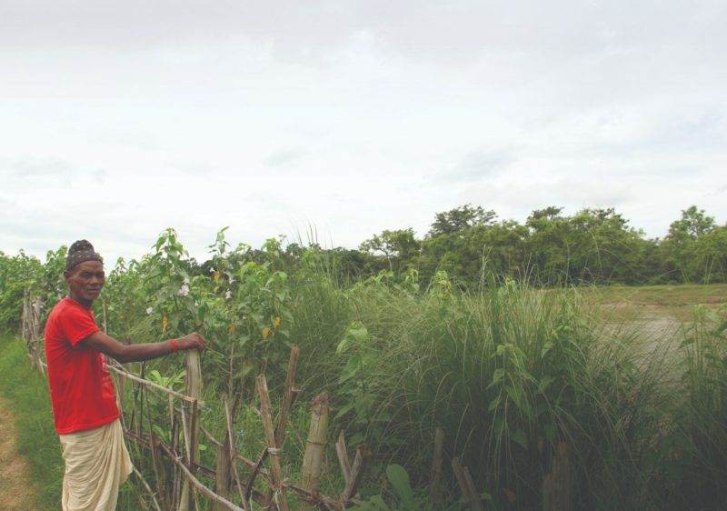 A woman with a special feature standing next to a fence.