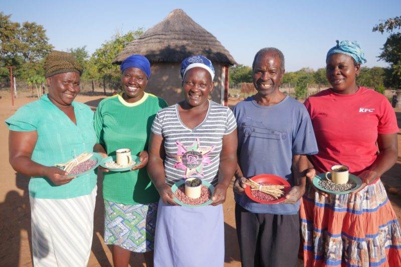 Smallholder farmers in Zimbabwe are adapting to climate change with traditional seed varieties and planet-friendly farming techniques. 