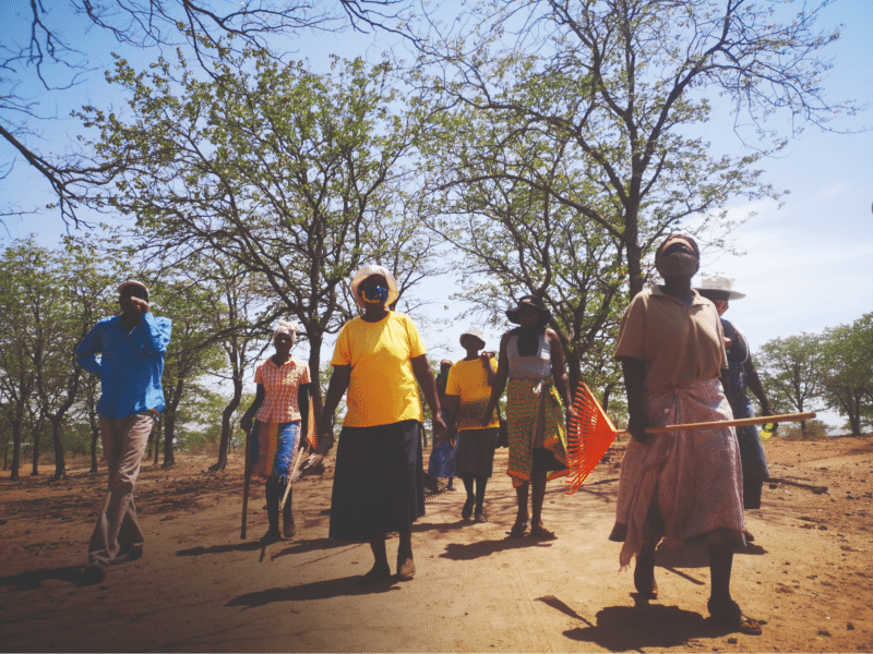 A group of people walking down a dirt road, providing project updates.