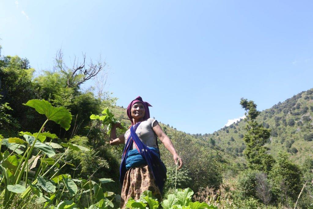 A woman in a turban standing in a field, urging the UK public to help farmers reverse the effects of climate change and coronavirus.