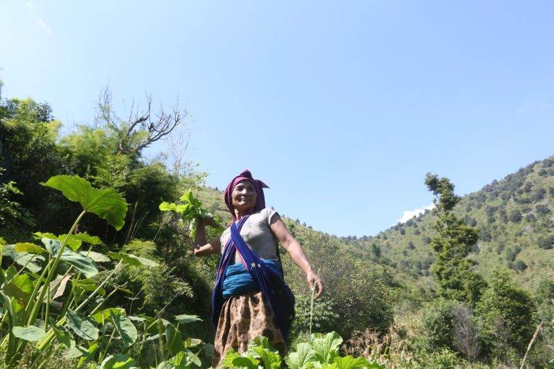 A woman in a turban standing in a field, urging the UK public to help farmers reverse the effects of climate change and coronavirus.