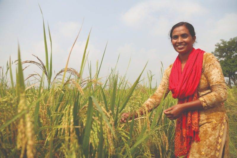 A woman with a special feature, smiling in a field of rice.