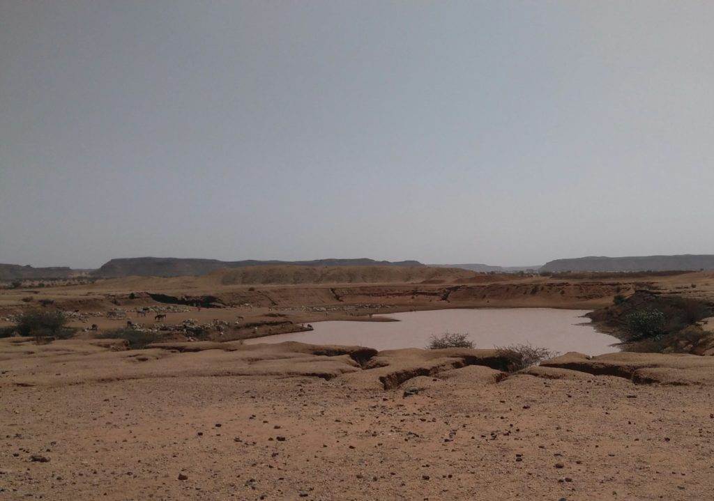 Tapping into ancestral water management knowledge, indigenous ingenuity creates a small pond in the middle of a desert.