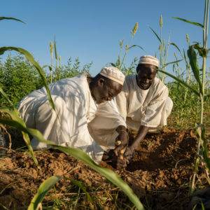 Two men planting corn in a field appear on the homepage.