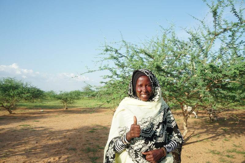 A woman in a shawl is standing in front of an acacia tree