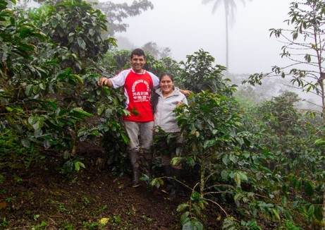 Two consultants standing in a coffee plantation.