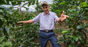 A man is standing in a coffee plantation.