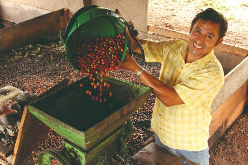 A man pouring coffee beans into a bucket.