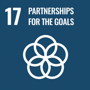 17 - Partnership for the Goals