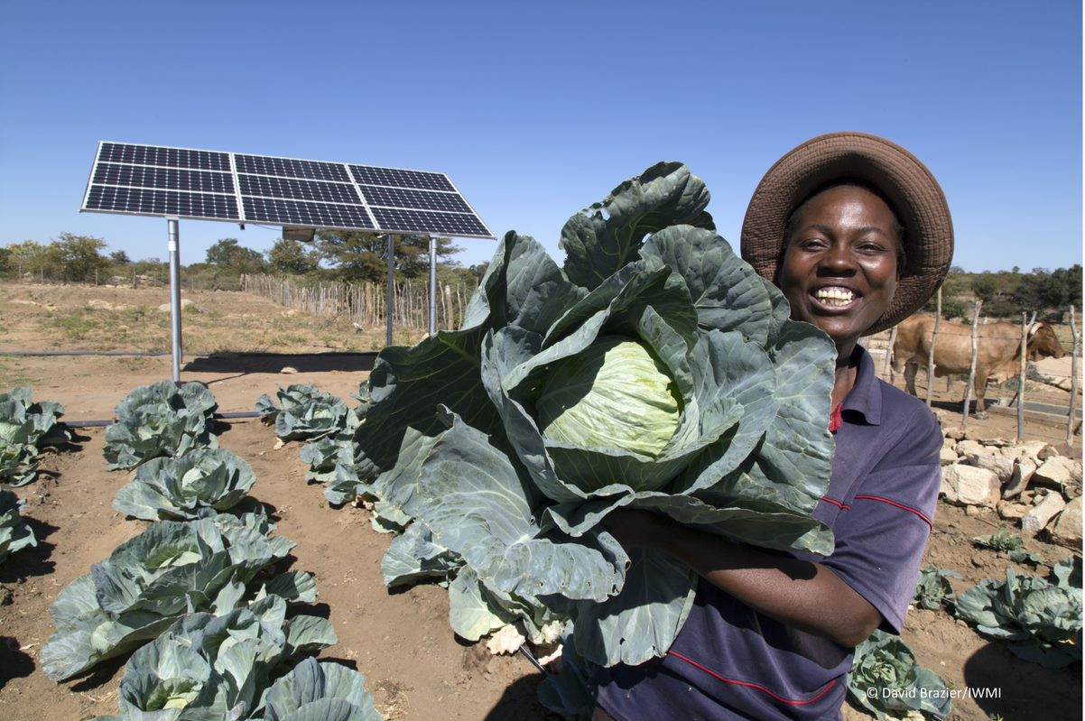 Food insecurity: how (not) to feed The world - Practical Action