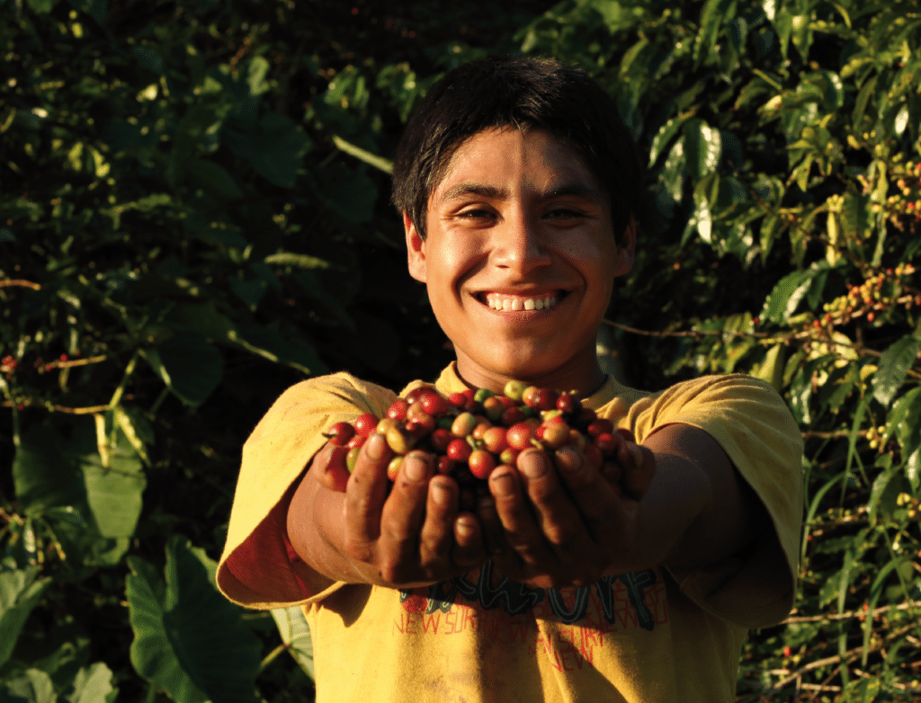 A young man holding a bunch of coffee beans from small farms.