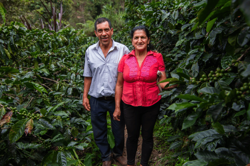 A couple standing in a small coffee plantation.